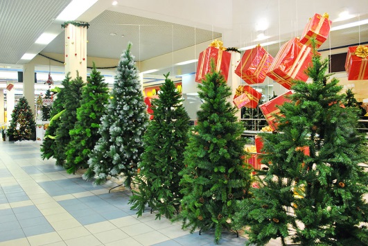 купить елку в Москве