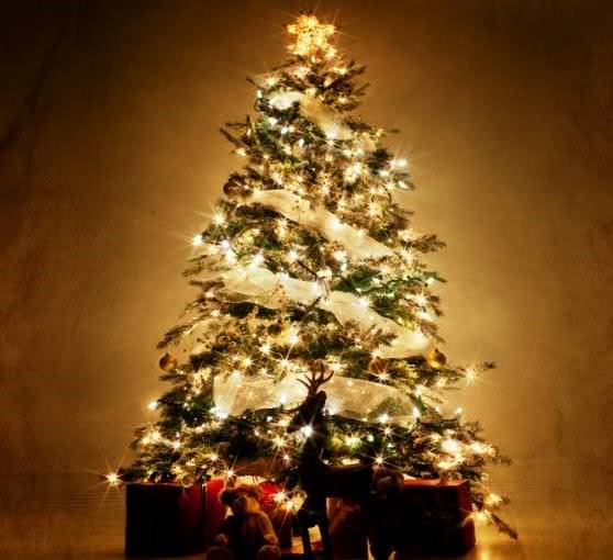 Интересные факты о новогодней елке